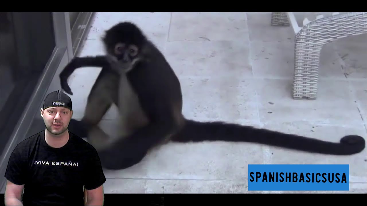 SO Cute In Spanish YouTube