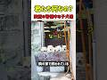 【爆笑】「呼んだ？ｗ」鉄壁ガード中の隣の家のワンちゃんたち。一匹かと思いきや…　#犬 #いぬ #こいぬ #子犬 #犬動画 #犬のいる暮らし #癒やし #犬のいる生活 #かわいい #犬あるある