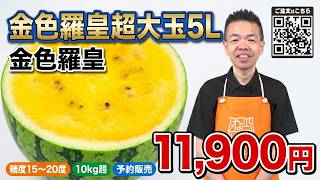 韓国プロフ必読様専用 金色羅皇10kg 金色羅皇 | 夏のスイカ -