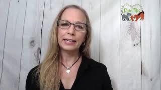 2 Ingredients That Can Contribute To Inflammatory Bowel Disease in Dogs and Cats