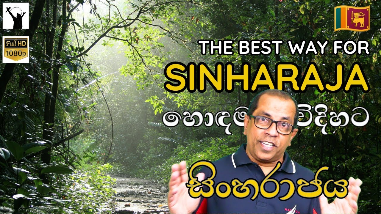 The Best Way for Sinharaja Forest | සිංහරාජ වනාන්තරය ට හොඳම විදිහට | Tips