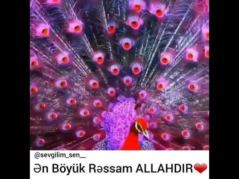 Ən böyük Rəssam Allahdır