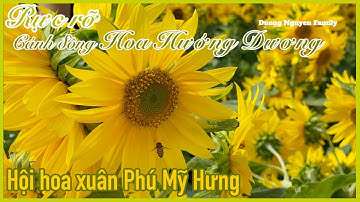 Rực Rỡ Sắc Vàng Cánh Đồng Hoa Hướng Dương Hội Hoa Xuân Phú Mỹ Hưng Tết Canh Tý 2020