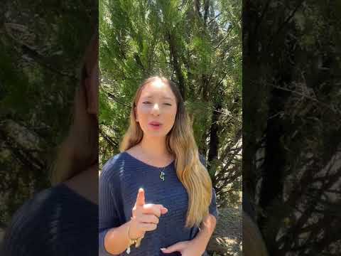 Expert Research Paper Writing Help in English Language - Get Assistance Now