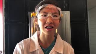 The Observation, Identification, and Dissection of a Crayfish