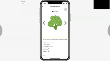 Usability Engineering Demo Video