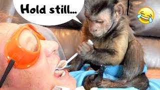 Capuchin Monkey Dentist! (DOCTOR MONKEYBOO)