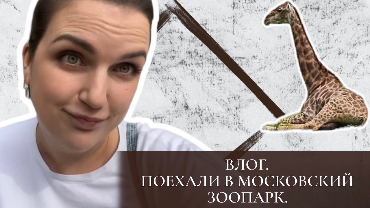 ВЛОГ | ПОЕХАЛИ В ЗООПАРК | МОСКОВСКИЙ ЗООПАРК КАК ТАМ СЕЙЧАС ...