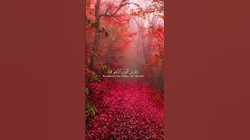 سورة يس #اكسبلور #المصحف #راحة_نفسية