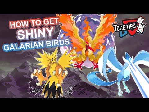 HACKER EXPOSED ! 3 SHINY GALARIAN LEGENDARY BIRDS LOL ( Shiny