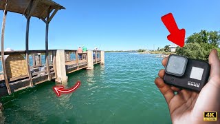 Dropped a GoPro Under a Famous Pier/Dock in Sebastian Inlet*Crazy Results*(UNDERWATER FOOTAGE)