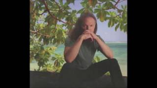 Timothy B  Schmit "Goodbye My Love" chords