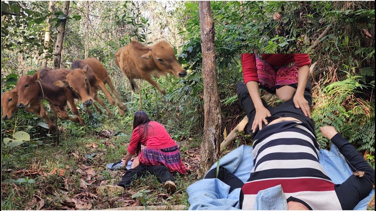 A man taking care of cows met a cruel woman