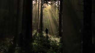 Misty sunrise on the Oregon Coast #shorts