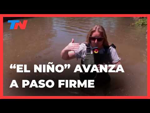 Alerta en el Litoral por el Niño: Paula Bernini recorre las zonas más afectadas por el temporal