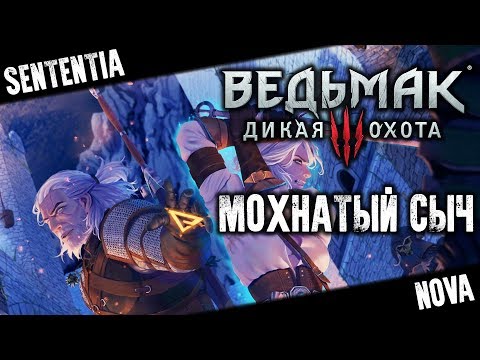 Лысая гора –  Ведьмак 3: Дикая Охота прохождение