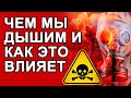 Все &quot;нормы&quot; превышены во много раз! Как воздух влияет на здоровье и что делать, чтобы его сохранить.