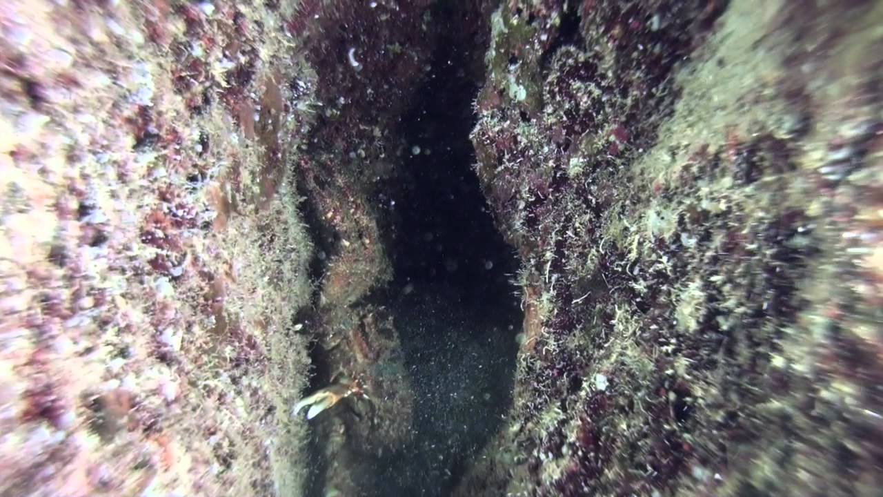 Cave diving YouTube