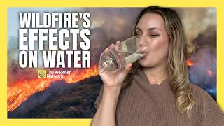 Not Just Air Quality, Wildfire Smoke Impacts Water Too | #wildfire