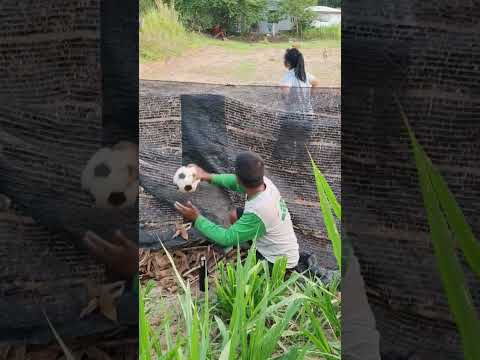 เล่นเตะบอล #ตลกขำๆ #funny thumbnail