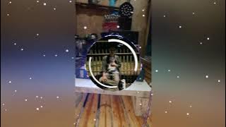 JOGET DANGDUT GOYANG SAMUDRA REMIX AUDIO BUSEL