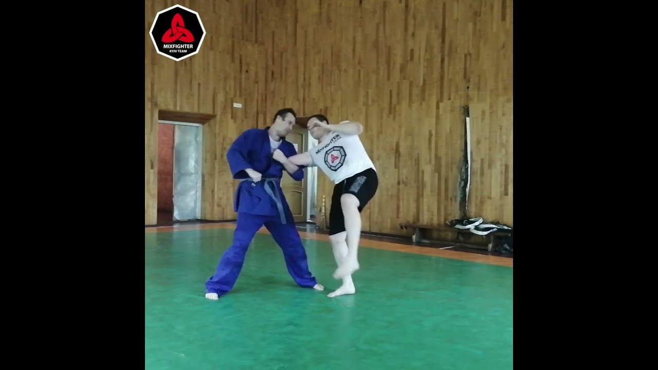 Приемы рукопашного боя для начинающих