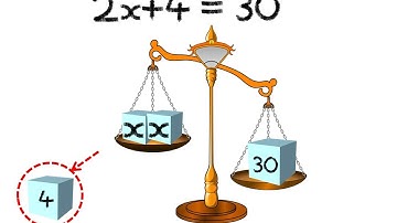 Maths - Introduction to Algebraic equation - What is a simple linear equation  - English
