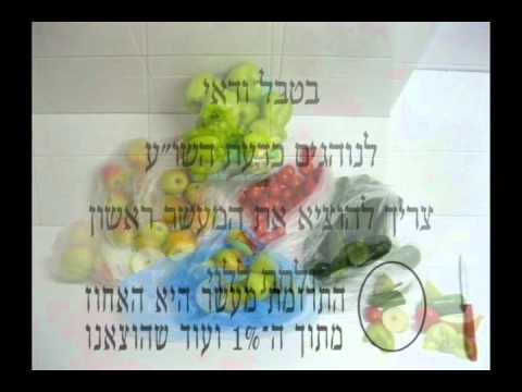 הלכות תרומות ומעשרות מפירות וירקות - YouTube