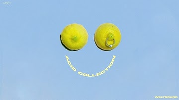 How to make ACID Techno using the Weltsound ACID Rack