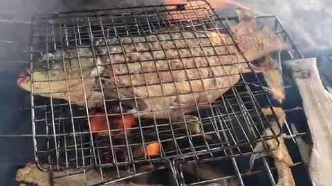 Cá chép nướng than củi ( Cực ngon )