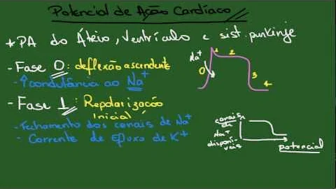 O que é o platô do potencial de ação?
