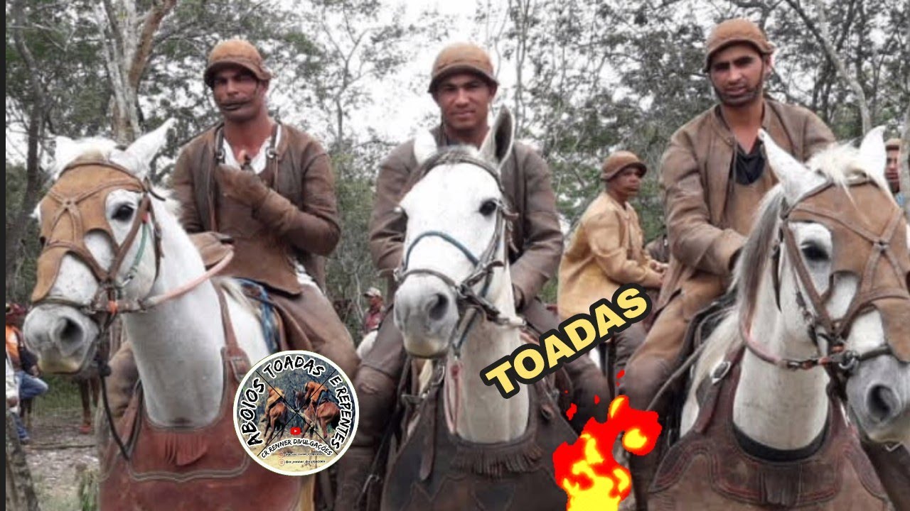 Toadas de  Gado e Vaqueiros Famosos!