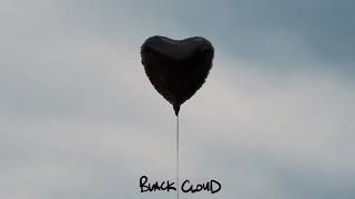Video thumbnail of "The Amity Affliction - Black Cloud"