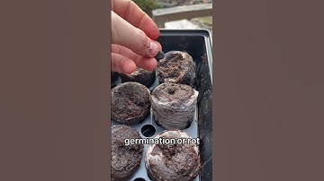 Making seed starting easy