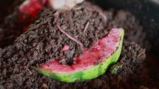 Composting PSA