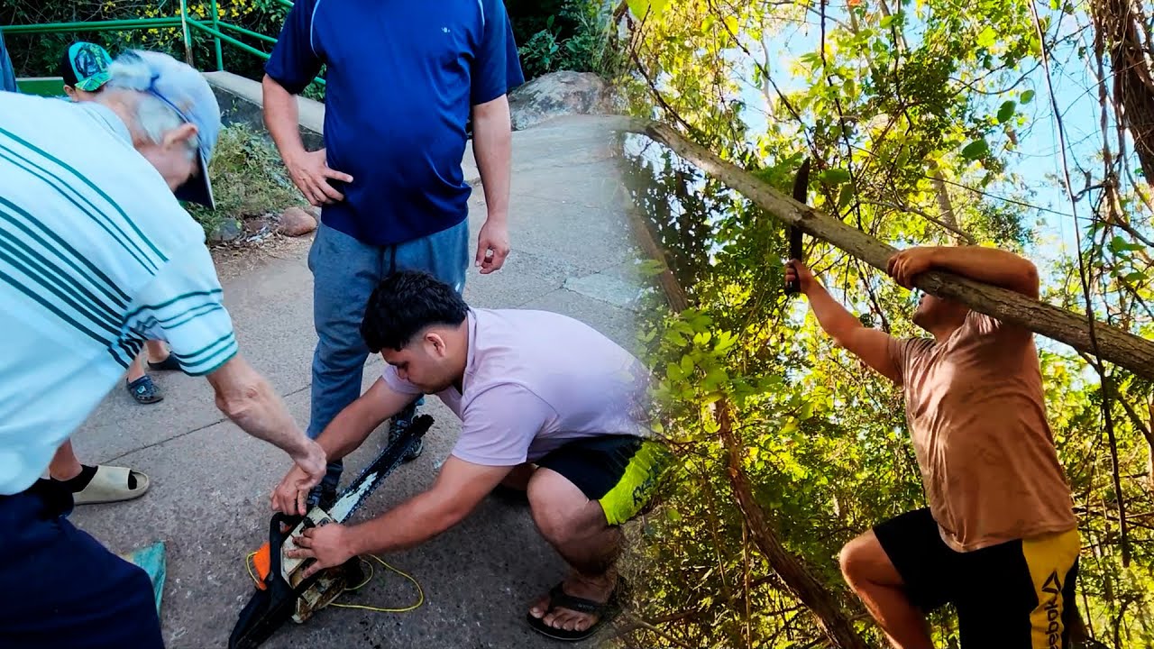 Haciendo una Buena Obra por Racu 😎 Oluga Arruinó su Motocierra