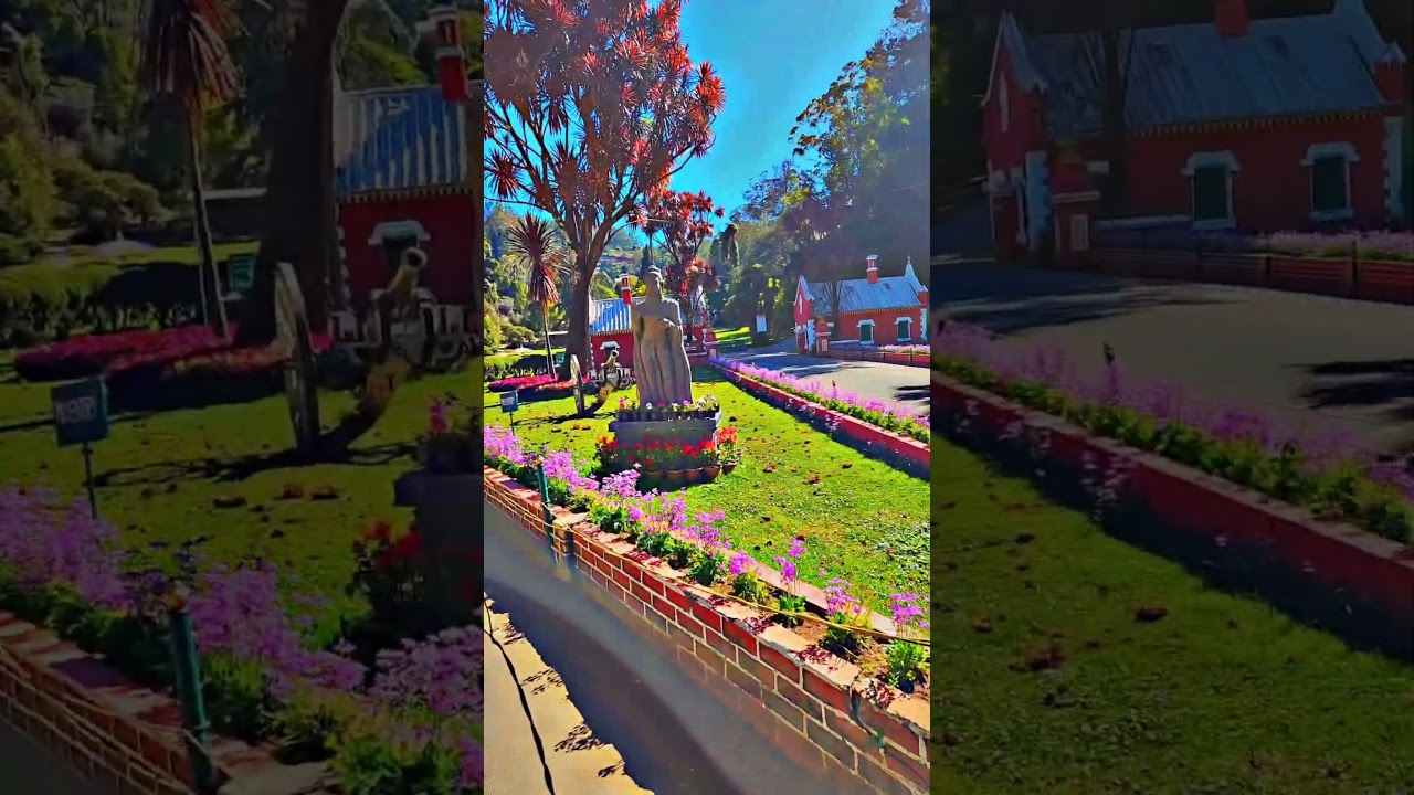 Botanical Garden, Ooty🌲🎄🌳🌱🌿☘️🍀🎍🪴🍁🌷💐🌾🌹🥀🌺🌸🌼🌻🪷🪻