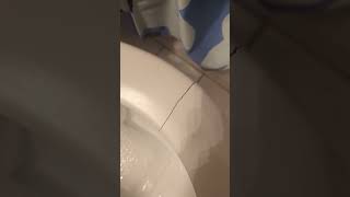 Broke My Damn Toilet Seat