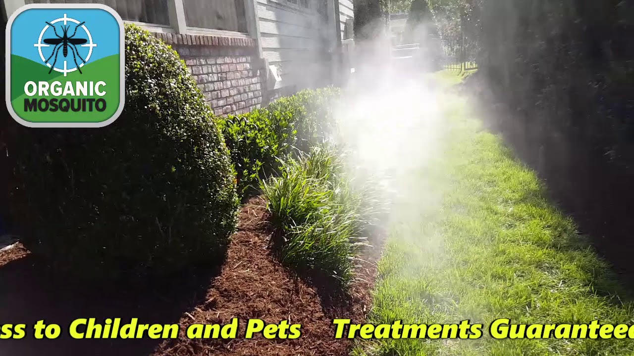 Natural Mosquito Control using Mosquito Barrier in Raleigh NC YouTube