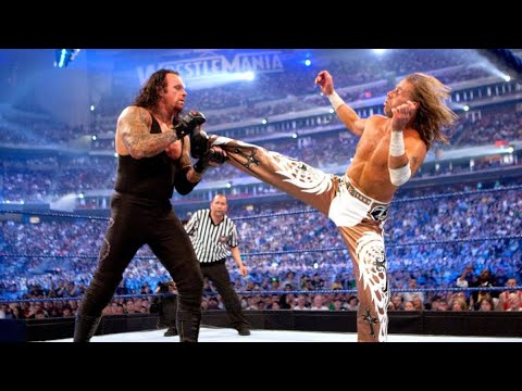 wwe shawn michaels vs undertaker