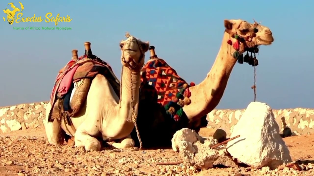 Egyptian Wonders || 16 Places to Visit in Egypt || From Nile Cruises to Pyramids