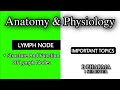 LYMPH NODE | LYMPHATIC SYSTEM | IMPORTANT QUESTIONS | UNIT 3 | ANATOMY AND PHYSIOLOGY | B PHARMA