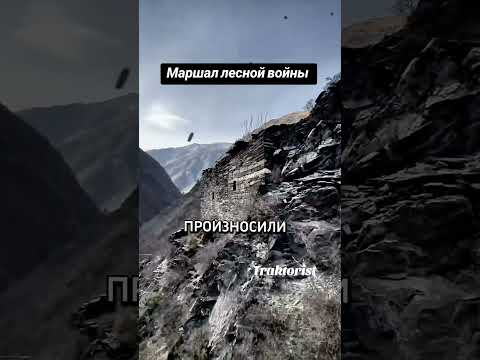 Шоип-Мулла — Маршал лесной войны.