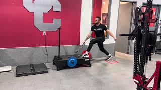 Exerfly SA/SL Rotational Split Squat Row