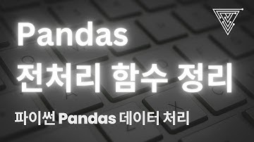 [Python 활용 실무 정형 데이터 분석] 12 Pandas 데이터 전처리 함수 정리