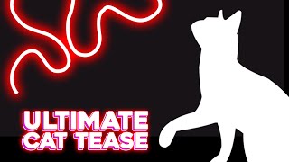 Ultimate Cat Tease by CatPet 17,738 views 4 years ago 1 hour
