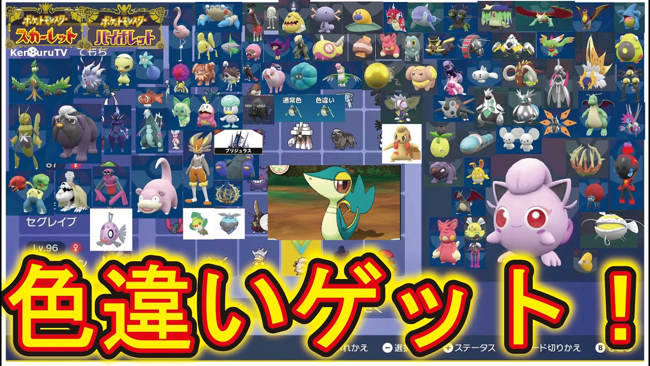 ポケットモンスタースカーレットバイオレット蒼の円盤】視聴者参加型
