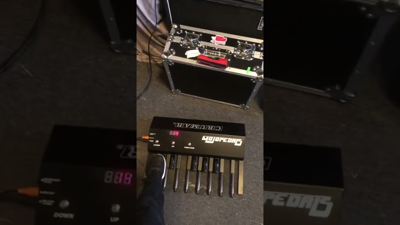 Moog Minitaur Crumar Mojo Pedals Taurus