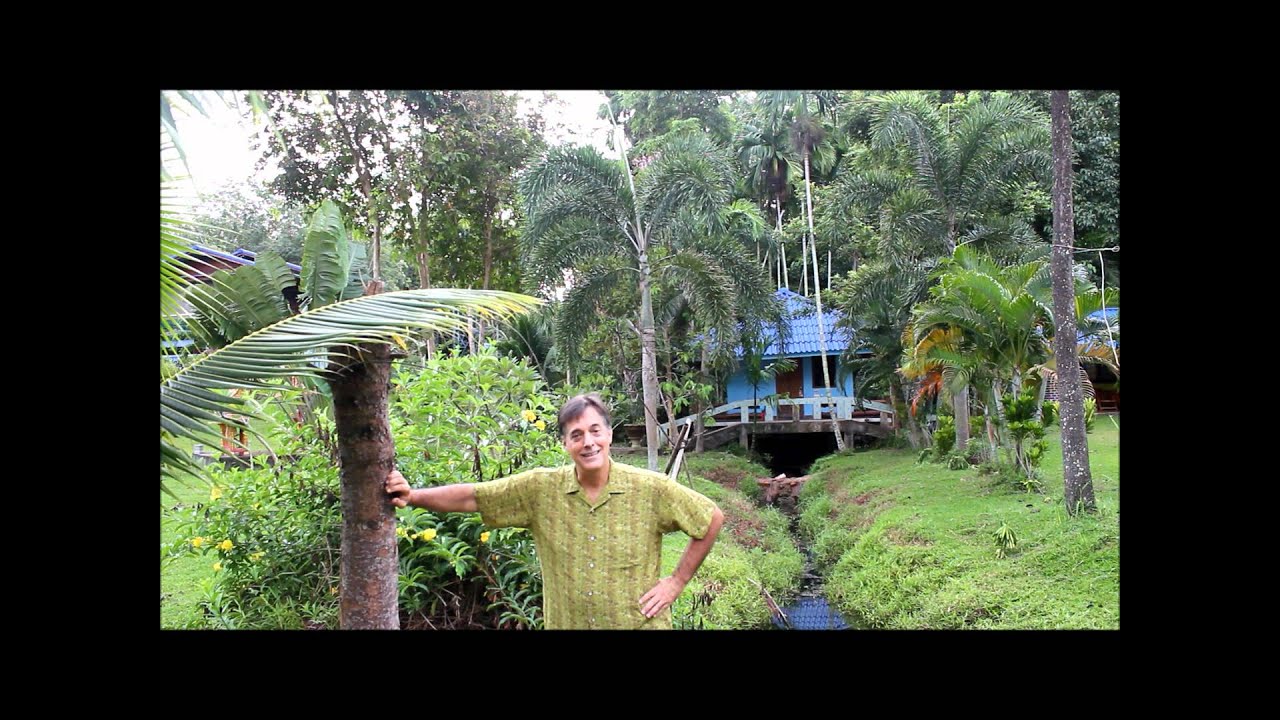 Copyrights by Eric Hanscom