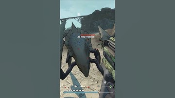 Bait And Switch (Short 1), Borderlands